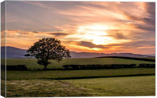 Welsh sunset and lone tree Canvas Print by Jonathan Thirkell