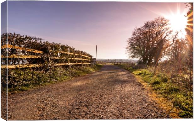 The Country Path Canvas Print by Jonathan Thirkell