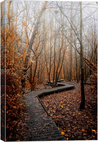 Foggy nature trail Moses Gate Little Lever Bolton Canvas Print by Jonathan Thirkell
