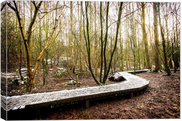 Snow on boardwalk Moses Gate Country Park Bolton Canvas Print by Jonathan Thirkell