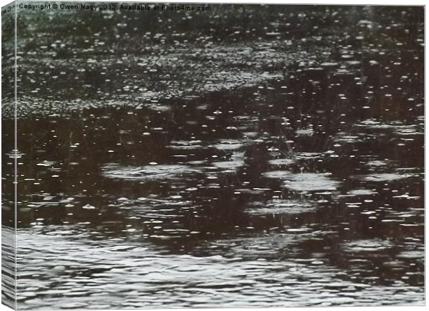 Rain drops Canvas Print by Owen Nagy