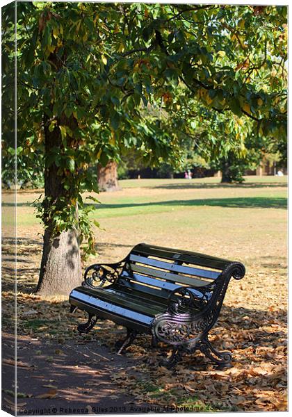 Lonely bench Canvas Print by Rebecca Giles