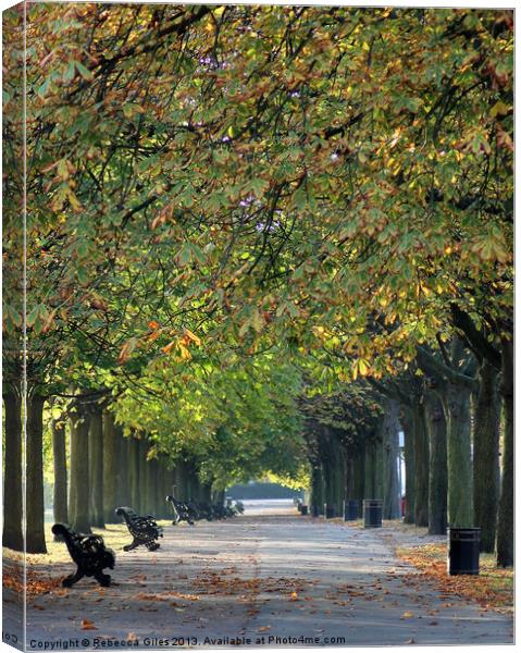 Walk in the Park Canvas Print by Rebecca Giles