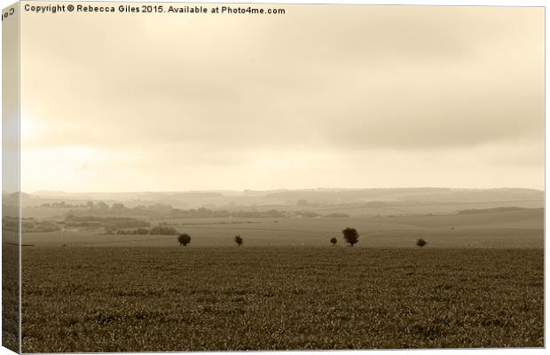  Countryside (Sepia) Canvas Print by Rebecca Giles