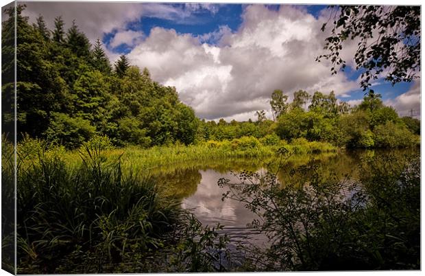 Stover Country Park in Colour Canvas Print by Jay Lethbridge