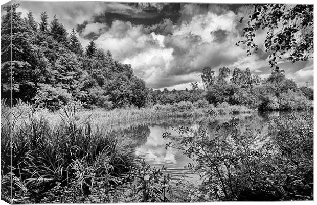 Stover in Black and White Canvas Print by Jay Lethbridge