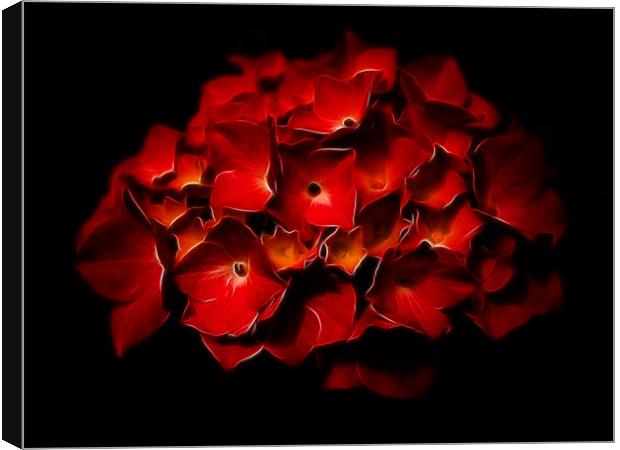 Red Hydrangea Fractalius Canvas Print by Jay Lethbridge