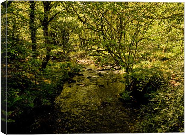 River Meavy, Dartmoor Canvas Print by Jay Lethbridge