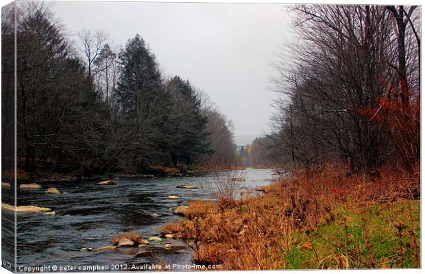 Livingston , NY Creek 2 Canvas Print by peter campbell