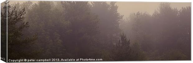 Mountain Fog Canvas Print by peter campbell