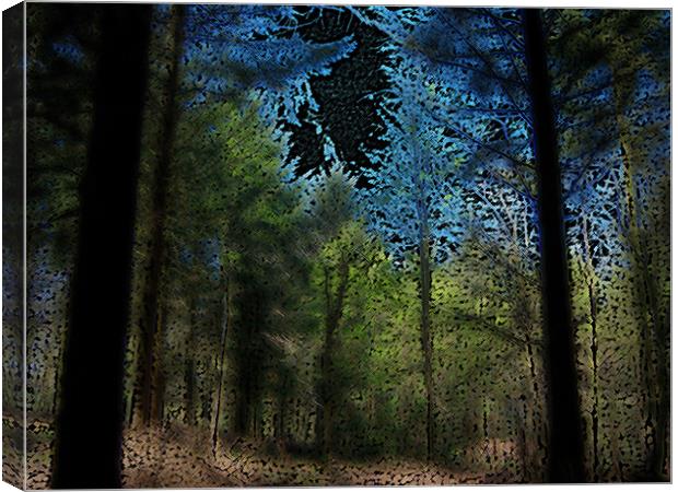 Forest Canvas Print by Anthony Palmer-Greene