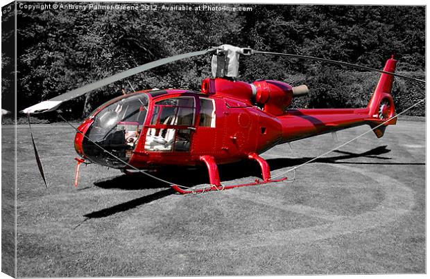 Helicopter Canvas Print by Anthony Palmer-Greene