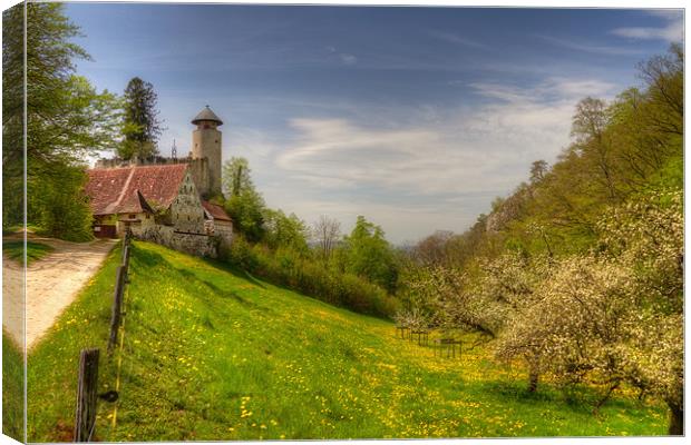 Birseck Castle Canvas Print by Alan Bishop