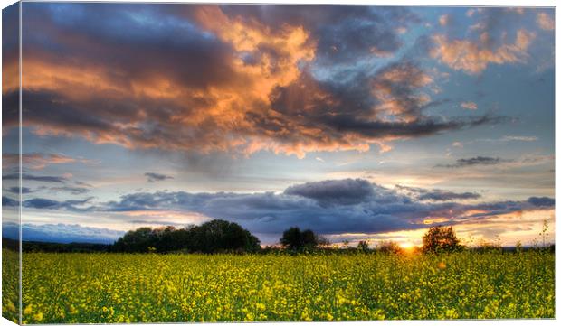 Magic sunset over Allschwil Canvas Print by Alan Bishop