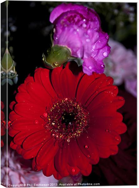 Flower Droplet Canvas Print by Phil Emmerson
