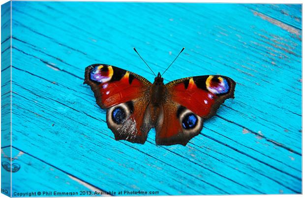 Butterfly Blue Canvas Print by Phil Emmerson