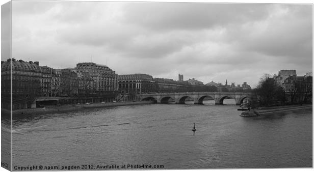 Pont Neuf Canvas Print by N C Photography