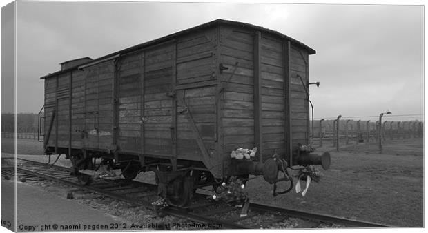 Cattle Car Transportation Canvas Print by N C Photography
