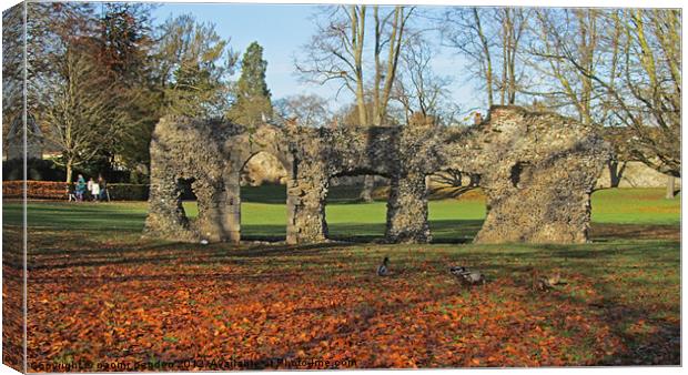 Autumnal Ruins Canvas Print by N C Photography