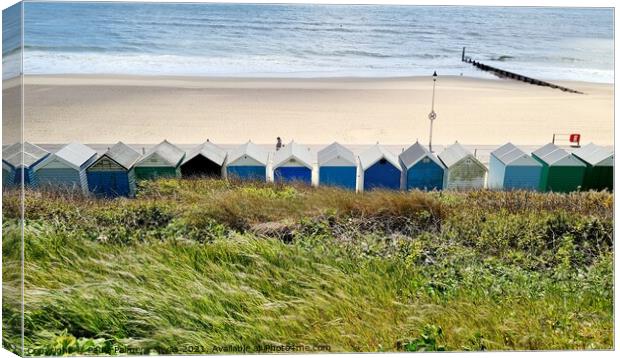 Southbourne beach huts. Bournemouth  Canvas Print by Paula Palmer canvas