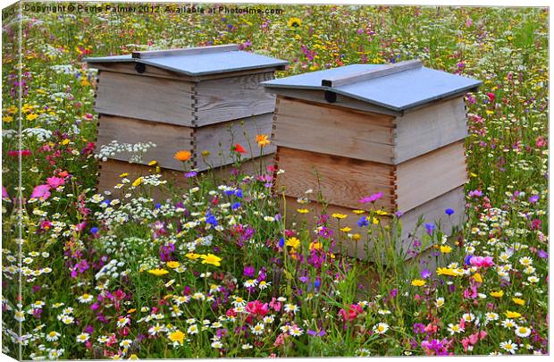 Wild Flower Meadow-Bee Hives Canvas Print by Paula Palmer canvas