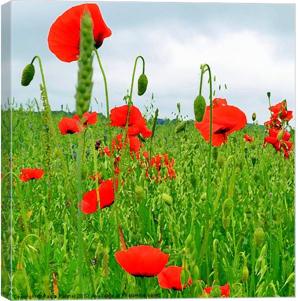 Poppy field! Canvas Print by Paula Palmer canvas