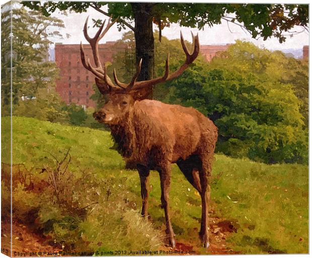 Red deer stag 2 Canvas Print by Paula Palmer canvas