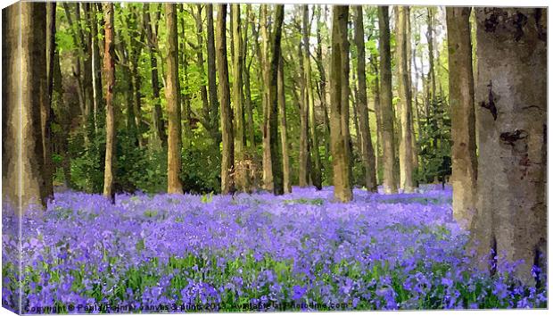 Bluebell wood in texture Canvas Print by Paula Palmer canvas