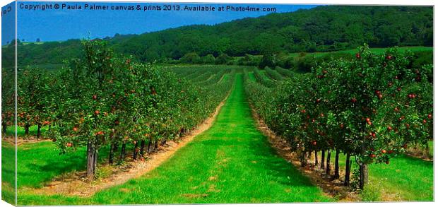 Apple orchard Canvas Print by Paula Palmer canvas
