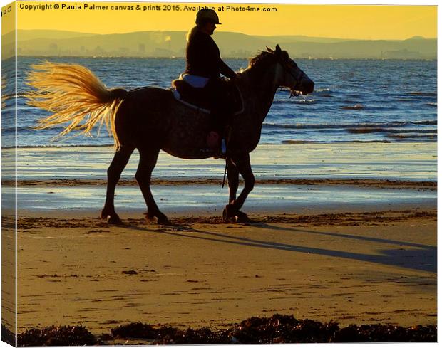 Horse rider on the beach Canvas Print by Paula Palmer canvas