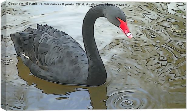 Black Swan at Dawlish Canvas Print by Paula Palmer canvas