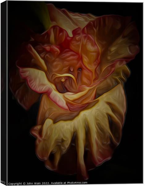 Gladiolus (Digital Art) Canvas Print by John Wain