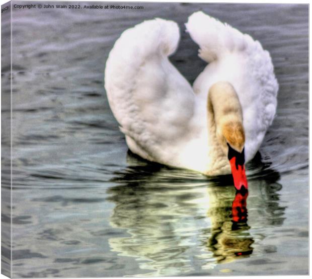 Reflections Canvas Print by John Wain