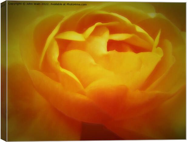 Yellow Rose with a little soft focus (Digital Art) Canvas Print by John Wain
