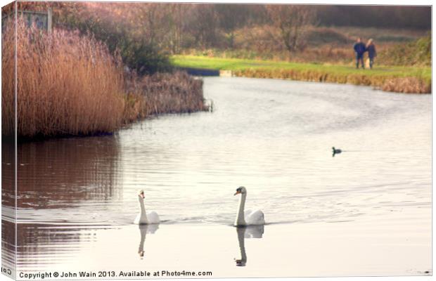 Bonded Swans on the Canal Canvas Print by John Wain