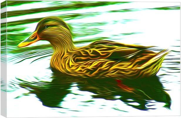 Lady Duck (Digital Art) Canvas Print by John Wain