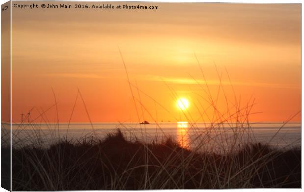 Through the Grass Canvas Print by John Wain