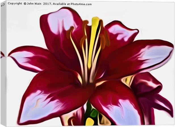 Lily (Digital Art) Canvas Print by John Wain
