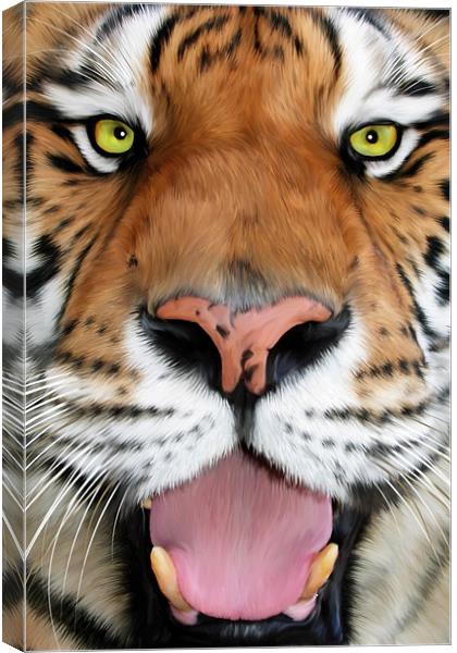 ShereKhan Canvas Print by Big Cat Rescue