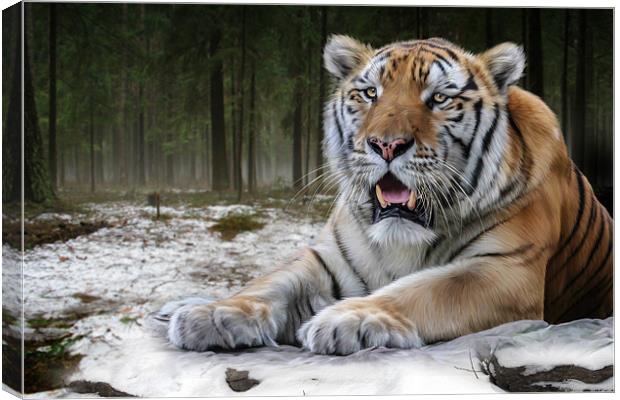 TJ the Tiger Canvas Print by Big Cat Rescue