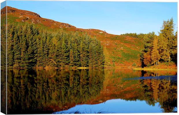  Autum in Scotland Canvas Print by jim scotland fine art