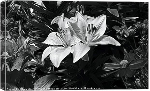 Painted Lily Canvas Print by jim scotland fine art