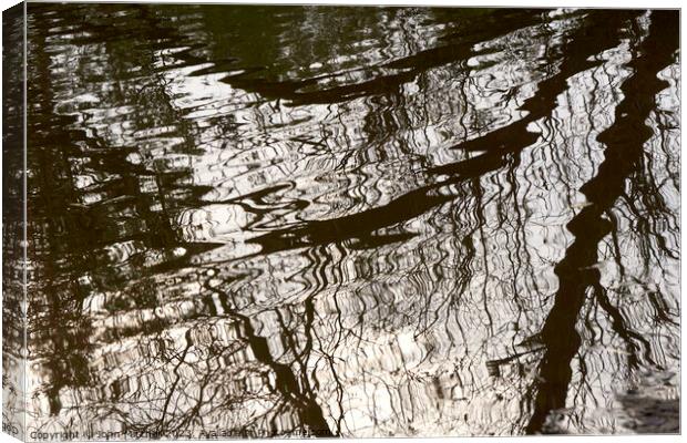 Reflections in a Pond Canvas Print by John Mitchell