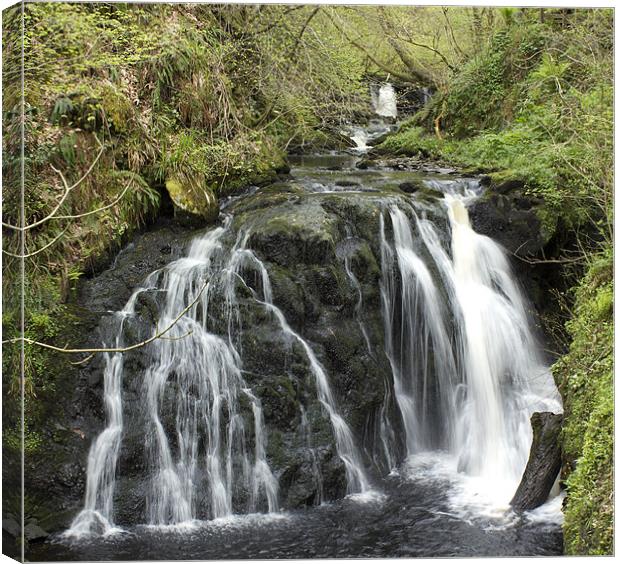 Glenariffe Waterfall Walk Canvas Print by Linda Duncan