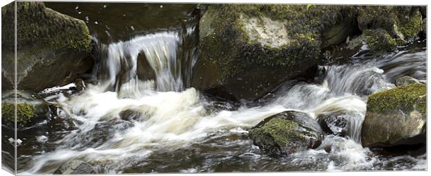 Free flowing Glenariffe River Canvas Print by Linda Duncan