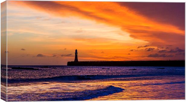  Basking in the glow Canvas Print by Kev Alderson