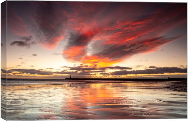 Reflection  Canvas Print by Kev Alderson