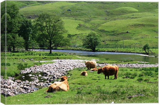 Grazing by a stream Canvas Print by Ruth Hallam