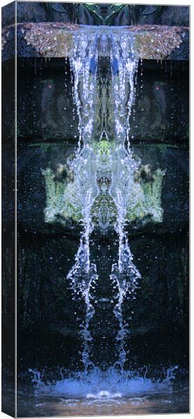 Waterfall Canvas Print by Ruth Hallam