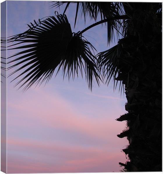 Sunset and palm tree Canvas Print by Ruth Hallam